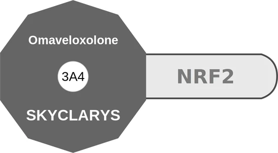 Omaveloxolone ballicule — decagon mechanism diagram