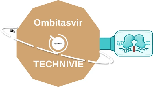Ombitasvir ballicule: receptor binding, kinetics and half-life diagram