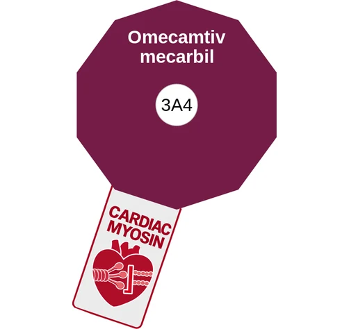 Omecamtiv mecarbil ballicule: receptor binding, kinetics and half-life diagram