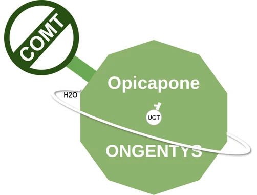 Opicapone ballicule — decagon mechanism diagram