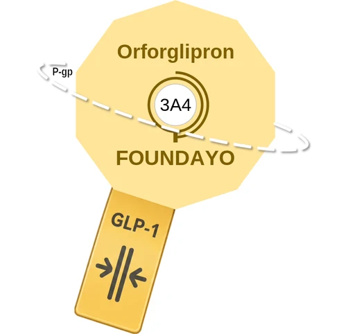 Orforglipron ballicule — decagon mechanism diagram