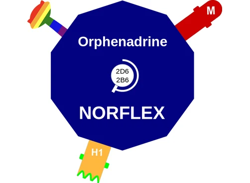 Orphenadrine ballicule — decagon mechanism diagram