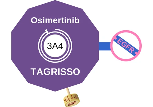 Osimertinib ballicule: receptor binding, kinetics and half-life diagram