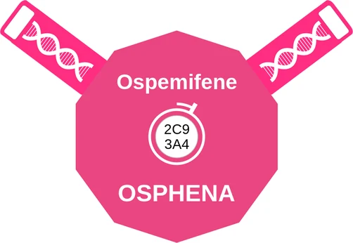 Ospemifene ballicule: receptor binding, kinetics and half-life diagram
