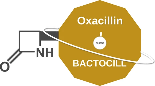 Oxacillin ballicule — decagon mechanism diagram