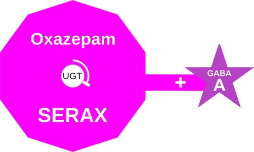 Oxazepam ballicule: receptor binding, kinetics and half-life diagram