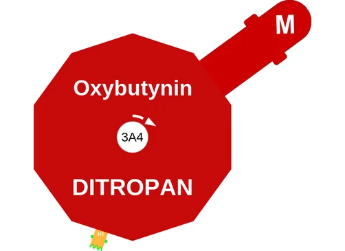 Oxybutynin ballicule: receptor binding, kinetics and half-life diagram
