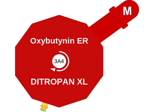Oxybutynin ER ballicule — decagon diagram of its receptor and enzyme targets