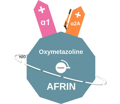 Oxymetazoline ballicule: receptor binding, kinetics and half-life diagram