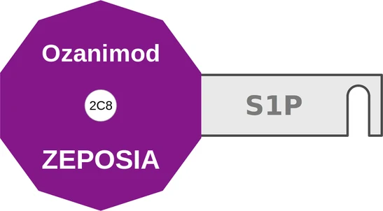 Ozanimod ballicule — decagon mechanism diagram