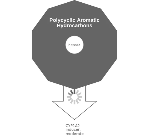 Polycyclic Aromatic Hydrocarbons ballicule: receptor binding, kinetics and half-life diagram