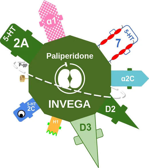 Paliperidone ballicule: receptor binding, kinetics and half-life diagram