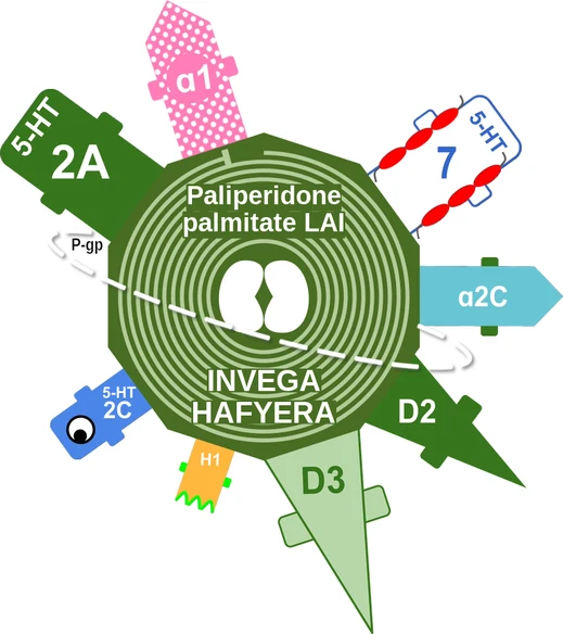 Paliperidone palmitate LAI ballicule — decagon mechanism diagram
