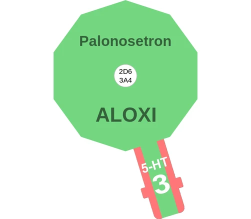 Palonosetron ballicule — decagon mechanism diagram