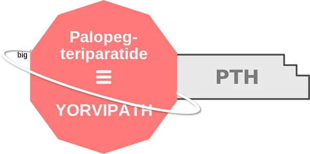 Palopegteriparatide ballicule — decagon mechanism diagram