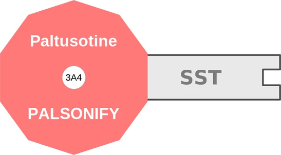 Paltusotine ballicule: receptor binding, kinetics and half-life diagram