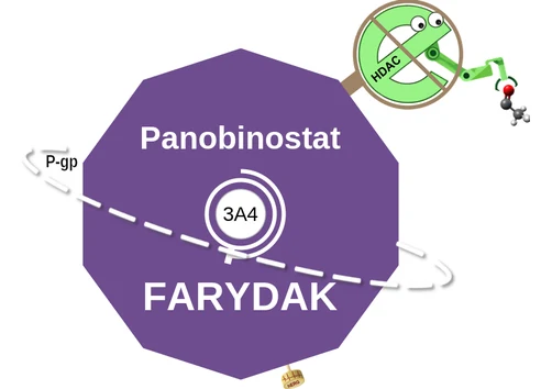 Panobinostat ballicule — decagon mechanism diagram