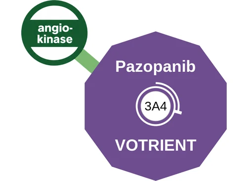 Pazopanib ballicule: receptor binding, kinetics and half-life diagram