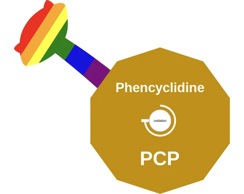 Phencyclidine ballicule: receptor binding, kinetics and half-life diagram