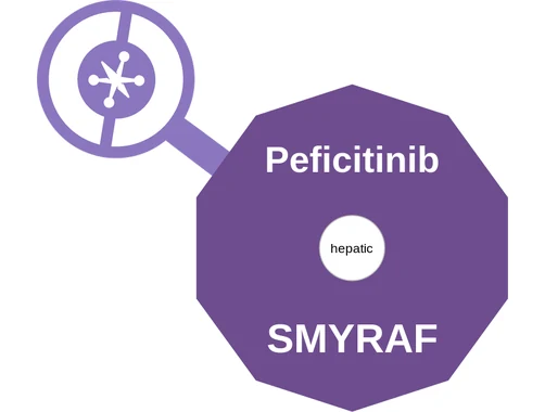 Peficitinib ballicule: receptor binding, kinetics and half-life diagram