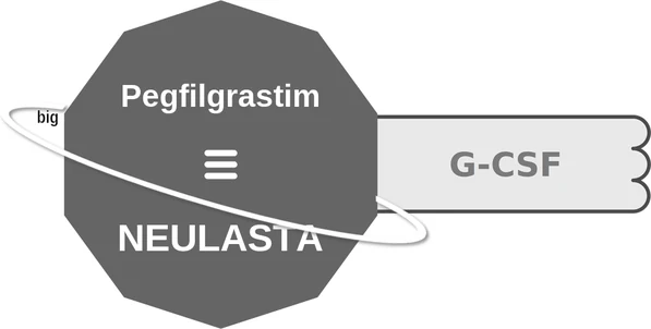 Pegfilgrastim ballicule: receptor binding, kinetics and half-life diagram