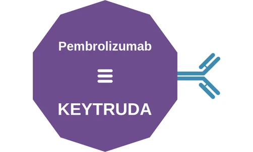 Pembrolizumab ballicule — decagon mechanism diagram