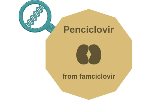 Penciclovir ballicule — decagon mechanism diagram