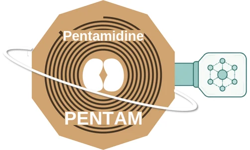 Pentamidine ballicule: receptor binding, kinetics and half-life diagram