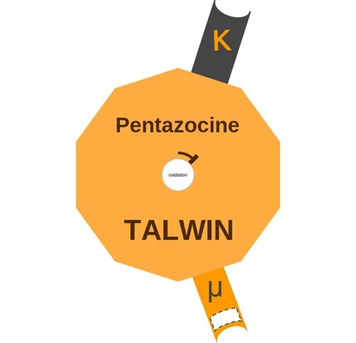 Pentazocine ballicule: receptor binding, kinetics and half-life diagram