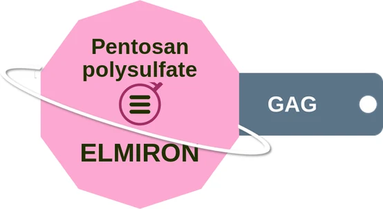 Pentosan polysulfate ballicule — decagon mechanism diagram
