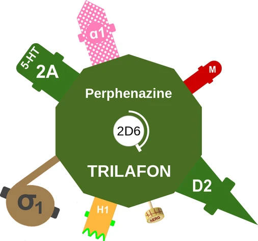 Perphenazine ballicule: receptor binding, kinetics and half-life diagram