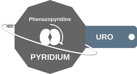 Phenazopyridine ballicule — decagon mechanism diagram