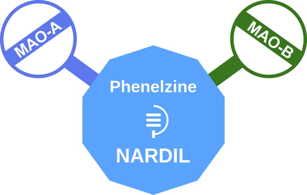 Phenelzine ballicule — decagon mechanism diagram