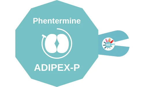 Phentermine ballicule: receptor binding, kinetics and half-life diagram
