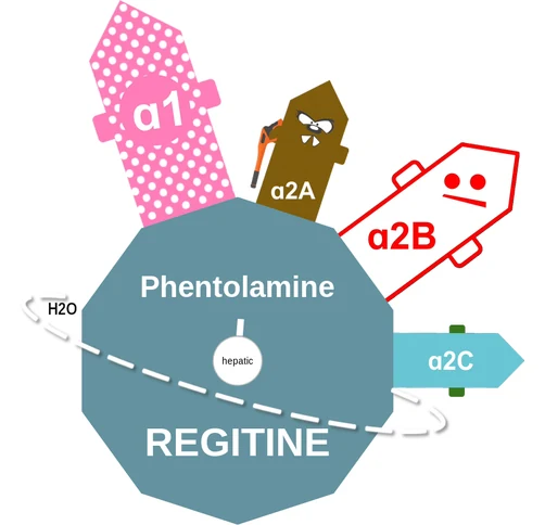 Phentolamine ballicule — decagon mechanism diagram