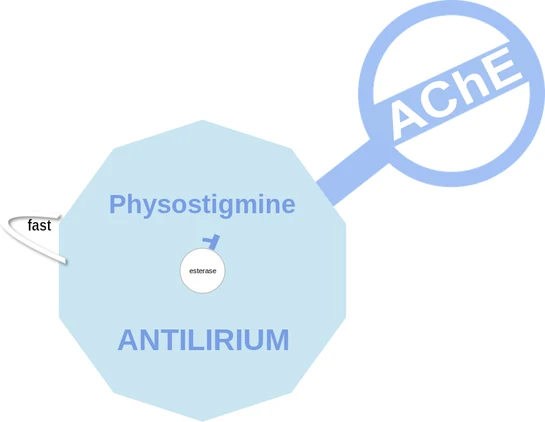 Physostigmine ballicule: receptor binding, kinetics and half-life diagram