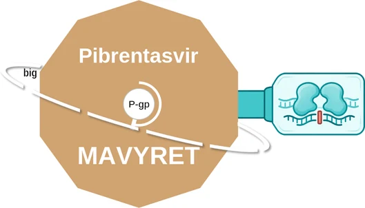 Pibrentasvir ballicule — decagon mechanism diagram