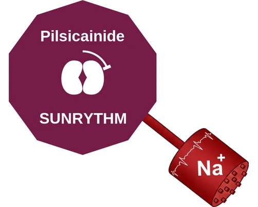 Pilsicainide ballicule — decagon mechanism diagram