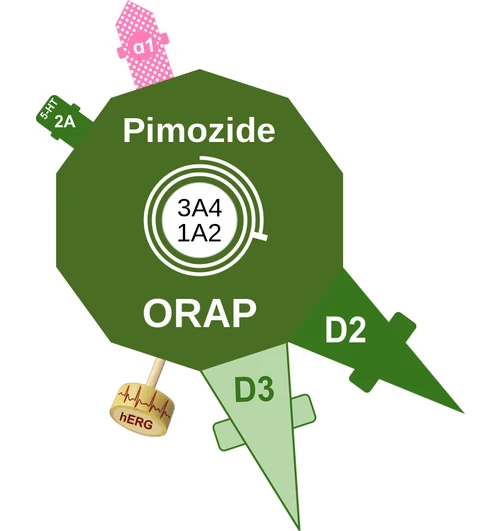 Pimozide ballicule — decagon mechanism diagram