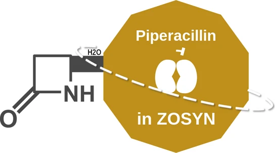 Piperacillin ballicule: receptor binding, kinetics and half-life diagram