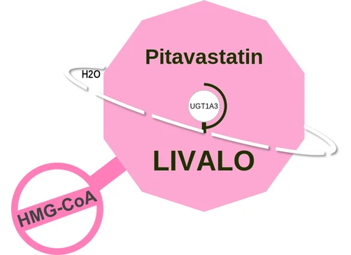 Pitavastatin ballicule — decagon mechanism diagram