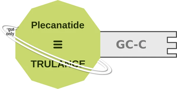 Plecanatide ballicule: receptor binding, kinetics and half-life diagram