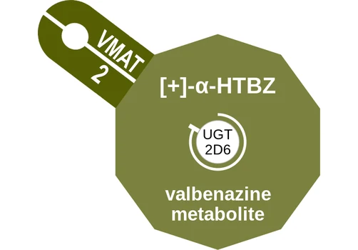 [+]-α-HTBZ ballicule: receptor binding, kinetics and half-life diagram