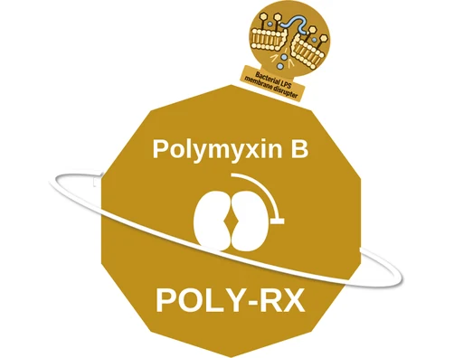 Polymyxin B ballicule — decagon mechanism diagram