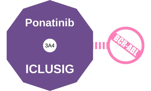 Ponatinib ballicule: receptor binding, kinetics and half-life diagram
