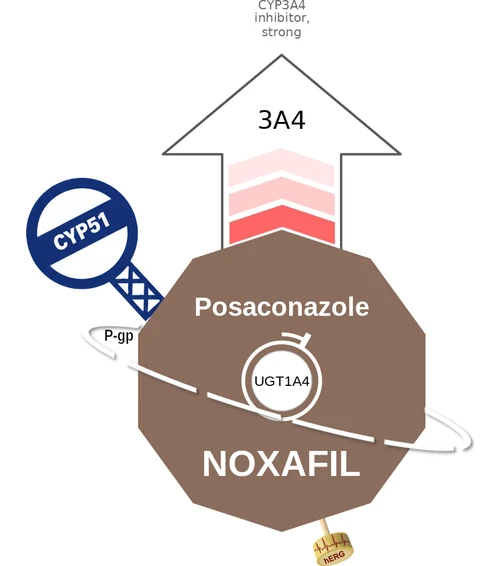 Posaconazole ballicule — decagon mechanism diagram