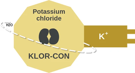 Potassium chloride ballicule — decagon mechanism diagram