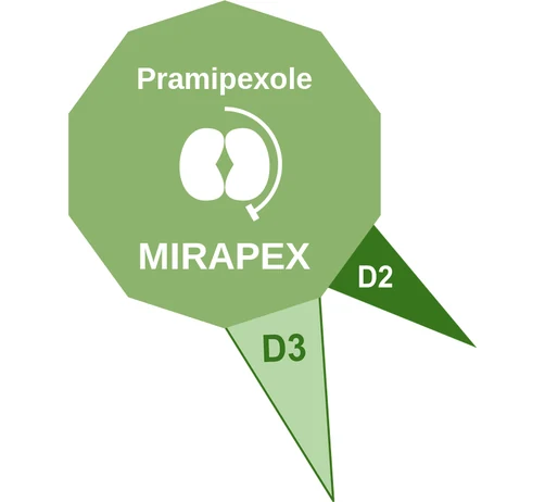 Pramipexole ballicule: receptor binding, kinetics and half-life diagram