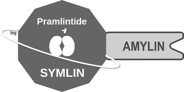 Pramlintide ballicule: receptor binding, kinetics and half-life diagram