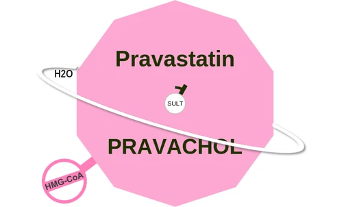 Pravastatin ballicule — decagon mechanism diagram